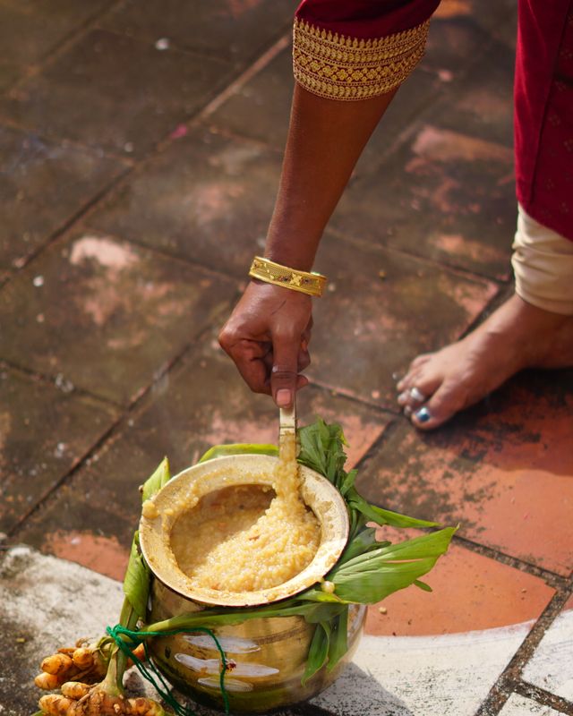 Pongal 2019